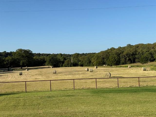 Land for sale in Mineral Wells, Texas