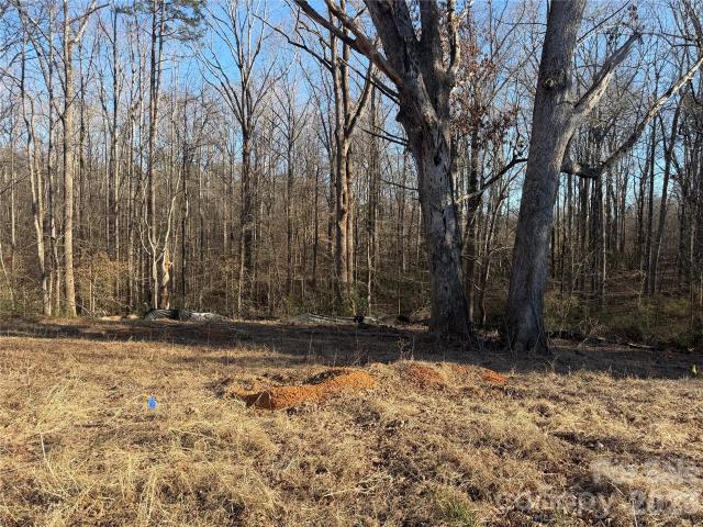 Land for sale in Catawba, North Carolina