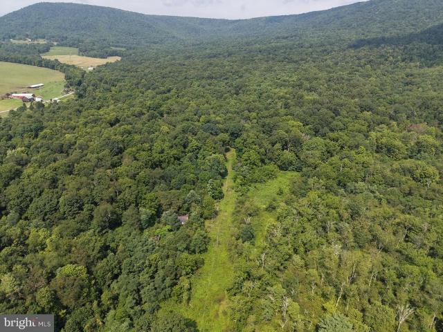 Land for sale in Wells Tannery, Pennsylvania