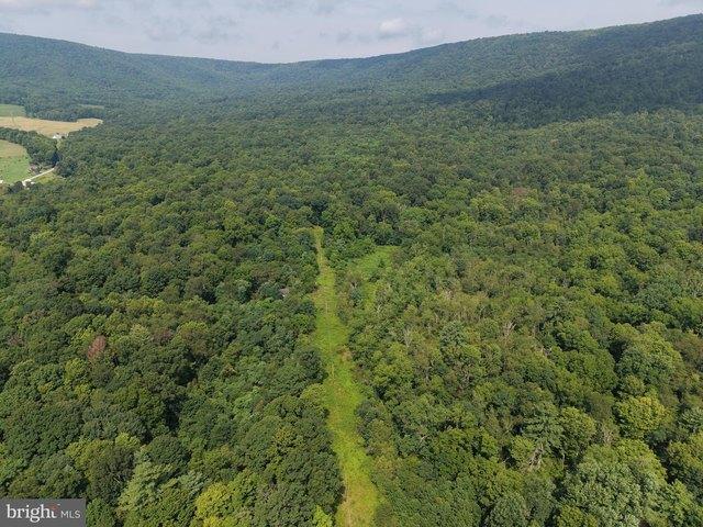 Land for sale in Wells Tannery, Pennsylvania