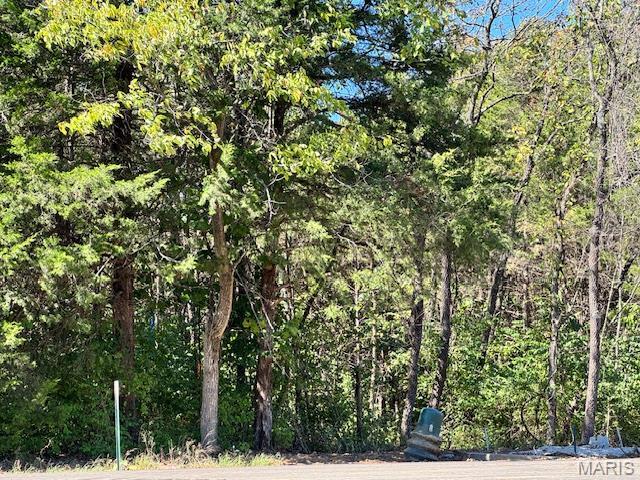 Property for sale in Wright City, Missouri