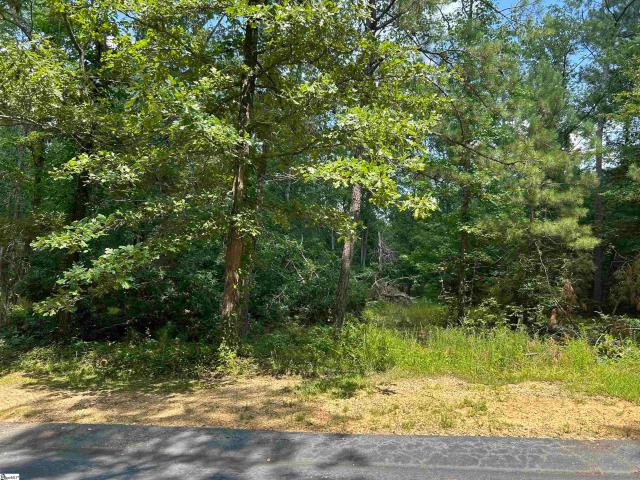 Land for sale in Ninety Six, South Carolina