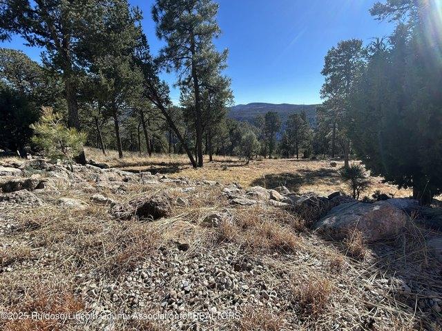 Land for sale in Alto, New Mexico