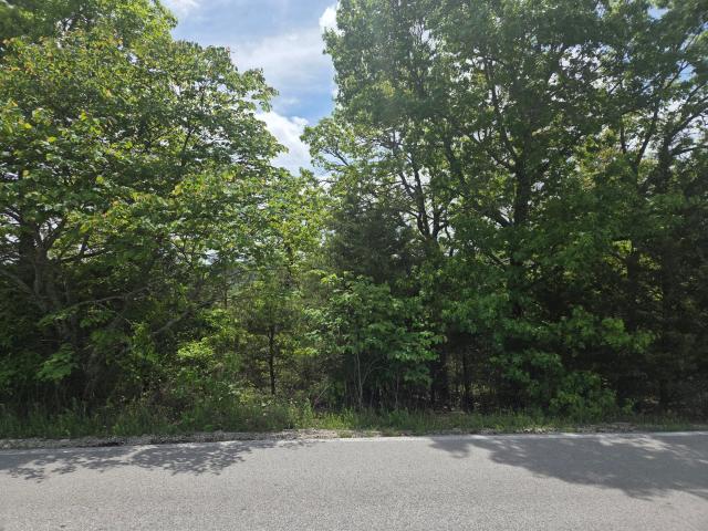 Land for sale in Stone, Missouri