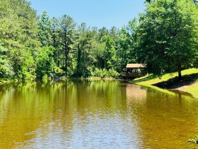 House for sale in Tylertown, Mississippi