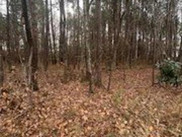 Land for sale in Robbins, North Carolina