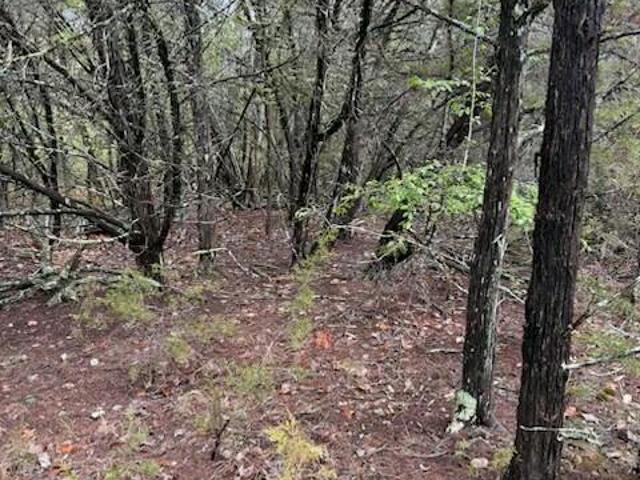 Land for sale in Kissee Mills, Taney County