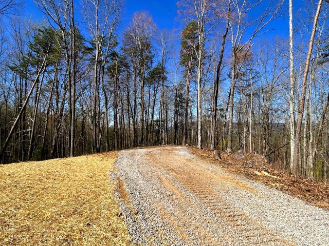 Land for sale in Reliance