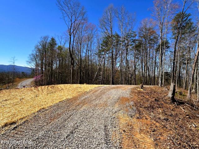 Land for sale in Reliance