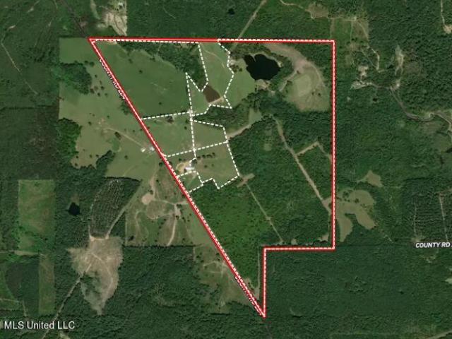 Land for sale in Pachuta, Mississippi