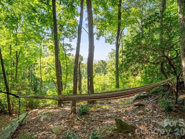 Land for sale in Fairview, North Carolina