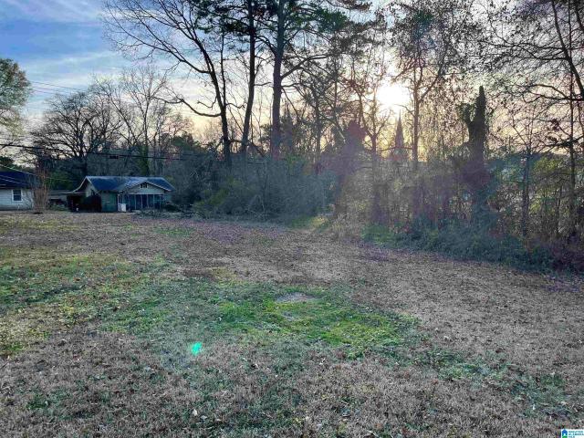 Land for sale in Adger, Alabama