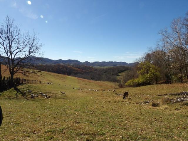 Land for sale in Virginia