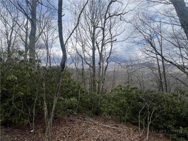 Land for sale in Avery, North Carolina