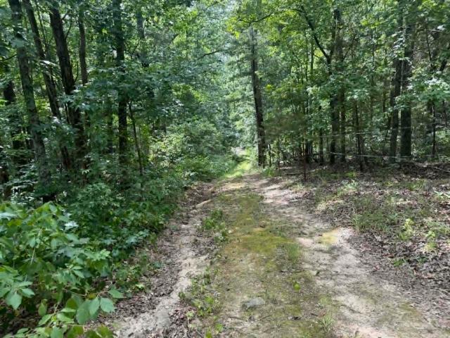 Land for sale in Ark