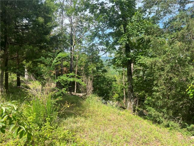 Land for sale in Ark