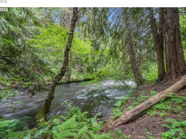 House for sale in Trout Lake, Washington