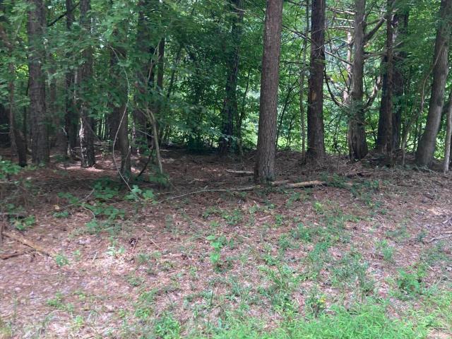 Land for sale in Chapel Hill, North Carolina