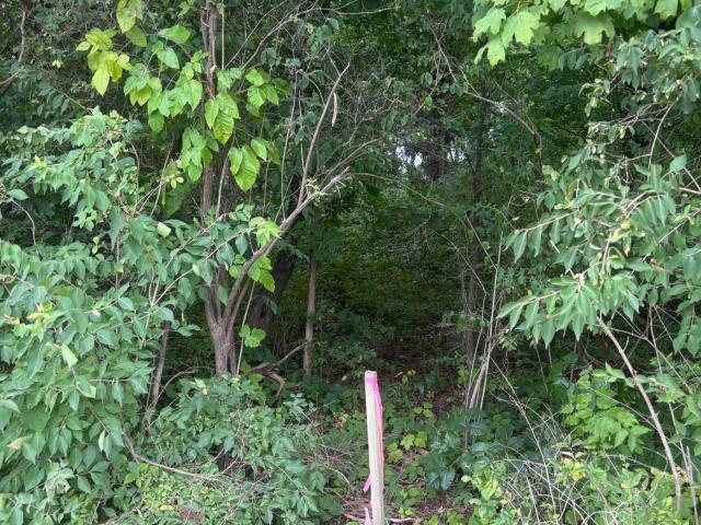 Land for sale in Tennessee