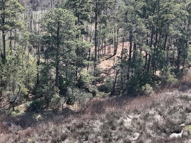 Land for sale in Beaufort, North Carolina