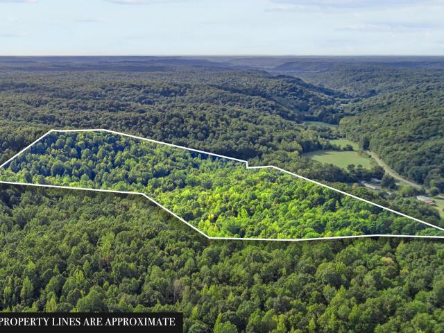 Land for sale in Tennessee