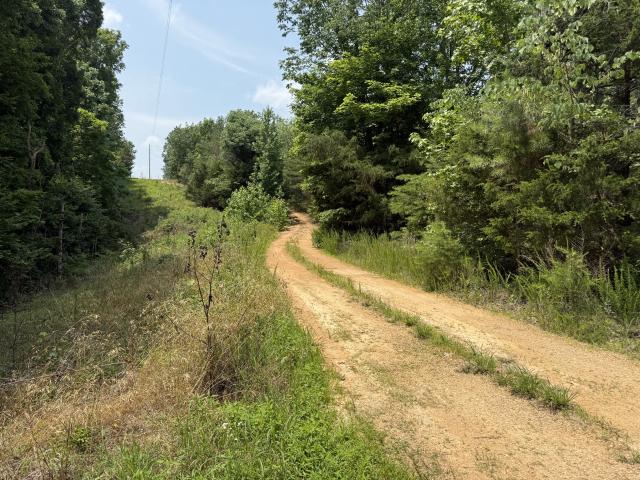 Land for sale in Tennessee