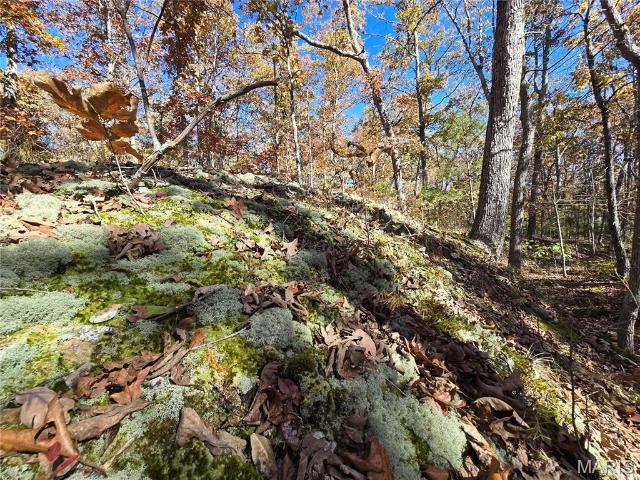 Land for sale in Doe Run, Missouri