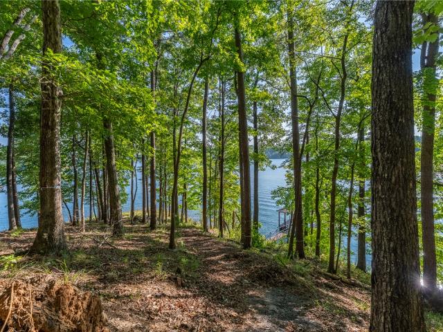 Land for sale in South Carolina