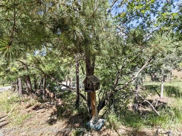 Land for sale in Alto, New Mexico