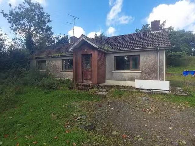 House to rent