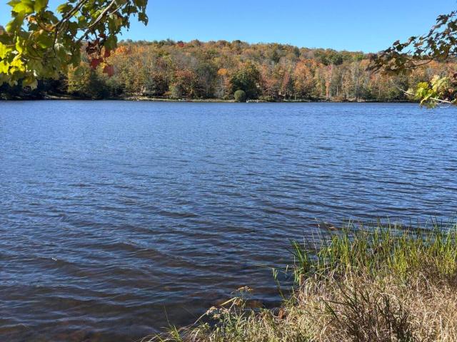 House for sale in Panther Lake, Greene Township