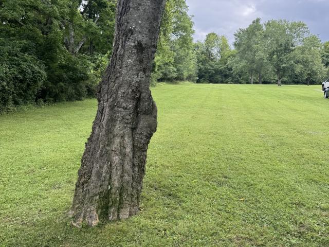 Land for sale in Tennessee