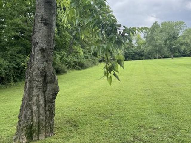 Land for sale in Tennessee