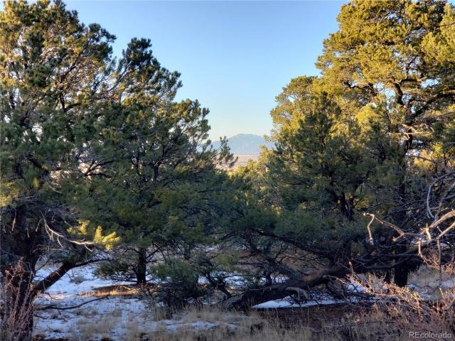 Land for sale in Mosca
