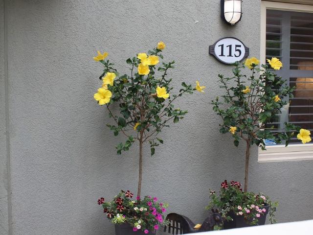 Apartment for rent in Grey, Ontario