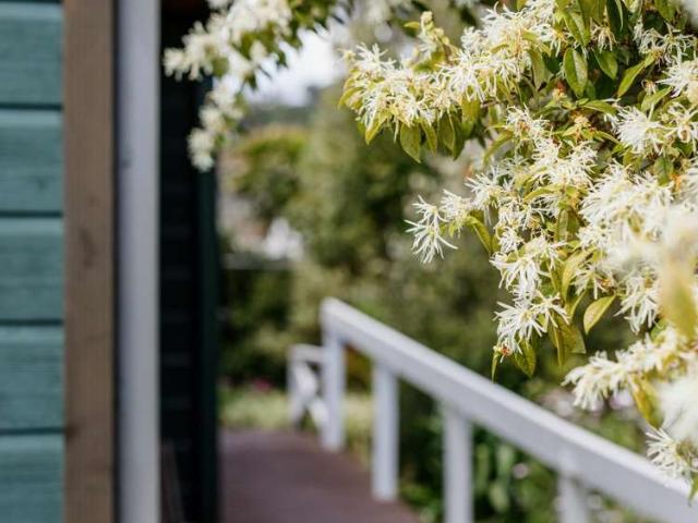 House for sale in Whakatāne, Whakatāne District
