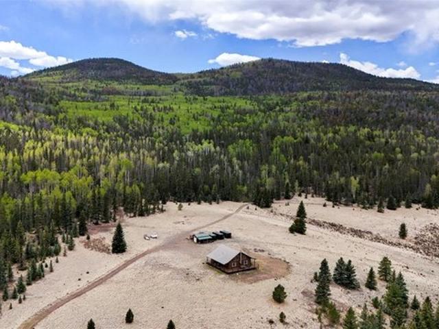 House for sale in Del Norte, Colorado