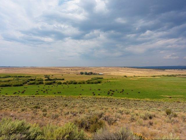 Farm for sale in Oregonia