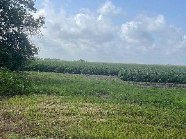 Land for sale in Beasley, Fort Bend County