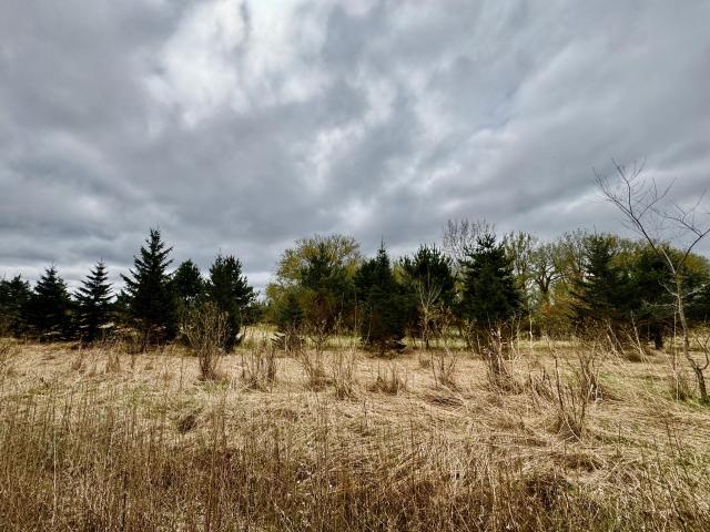 Land for sale in Rockville, Minnesota