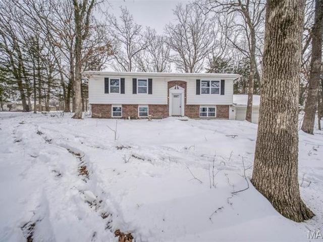 House for sale in Phelps, Missouri