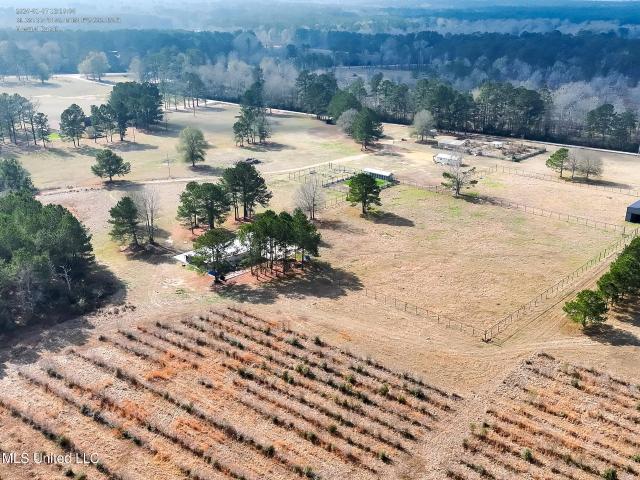 Land for sale in Summit, Mississippi