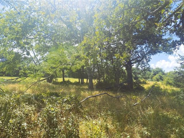 Land for sale in Robertson, Texas