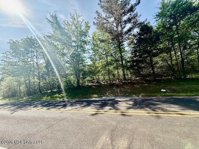 Land for sale in Nesbit, Mississippi