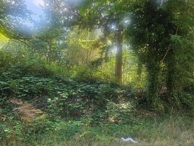 Land for sale in Port Orchard, Washington