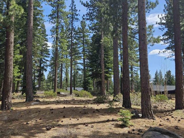 Land for sale in Truckee Land for sale in Truckee
