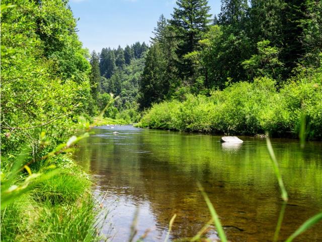 House for sale in Washougal, Washington