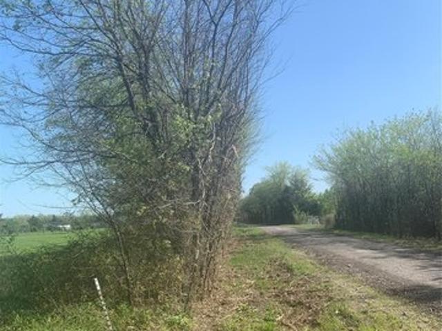 Land for sale in Fannin, Texas