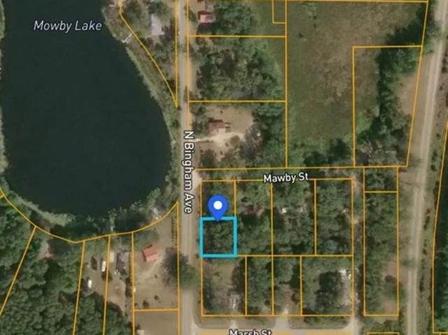 Land for sale in Bitely, Lilley Township