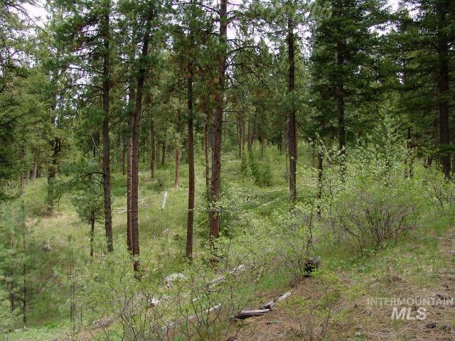 Land for sale in Cascade, Idaho